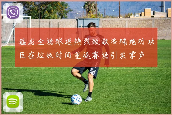 猛龙全场球迷热烈致敬洛瑞绝对功臣在垃圾时间重返赛场引发掌声